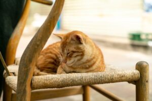 Chair Method Sleep Training: How the Gradual Approach Works